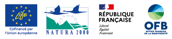 Bloc marque_Life EMM